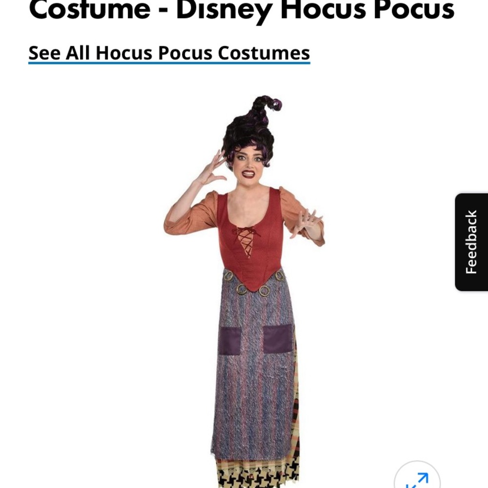 Mary Sanderson costume worn once size small/medium